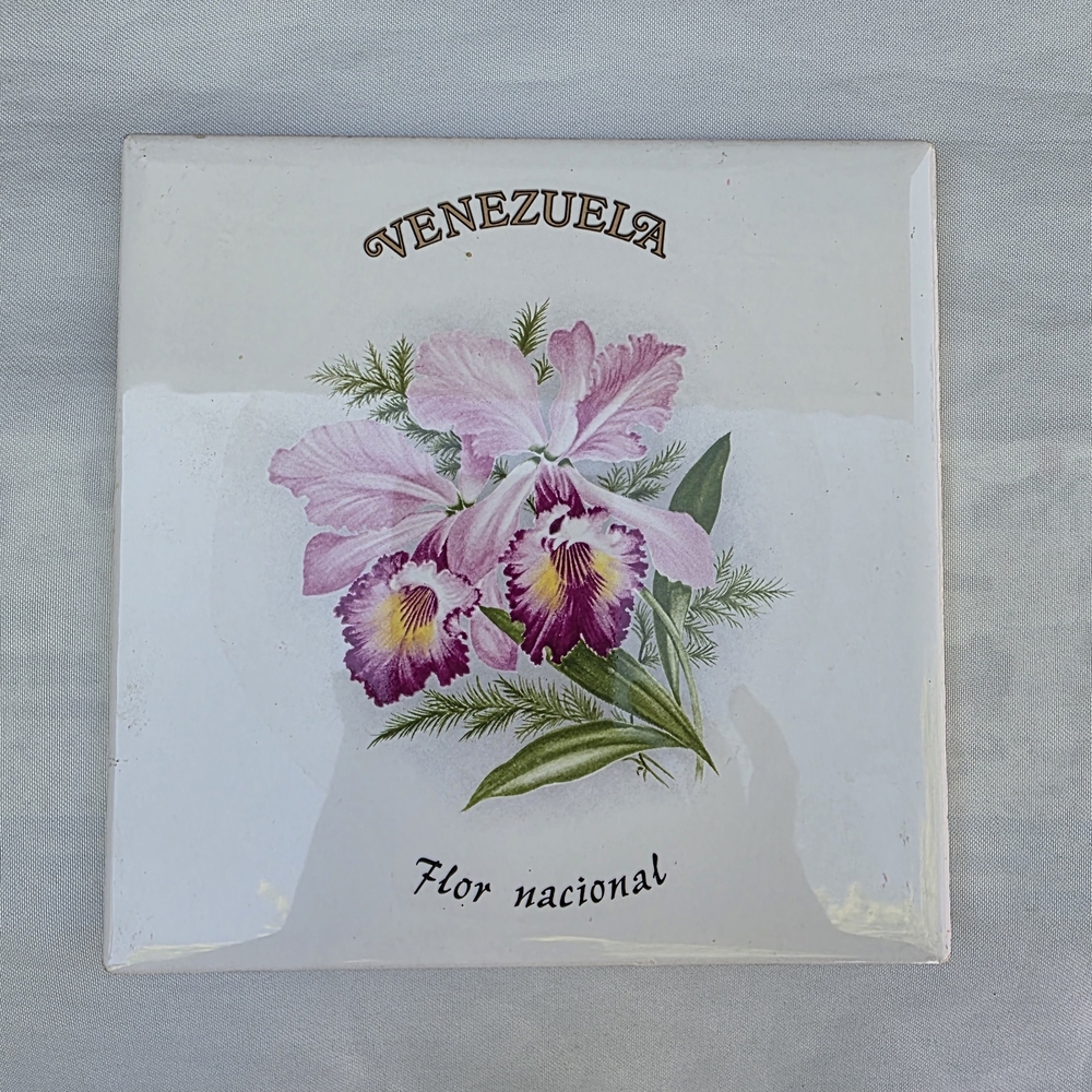 Vintage Venezuela Floral Ceramic Tile Trivet 8"